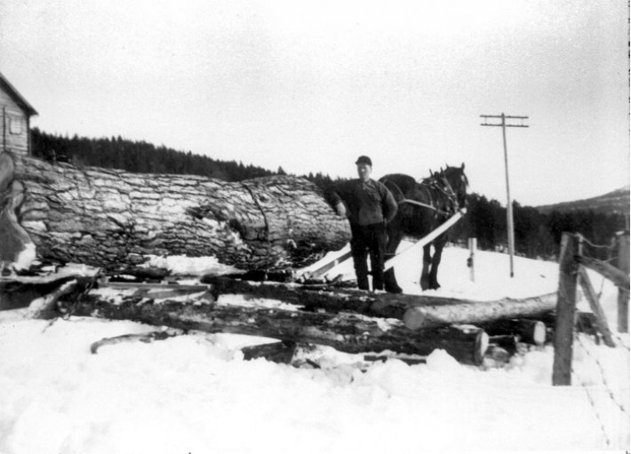 Foto Rolf Øvergaard