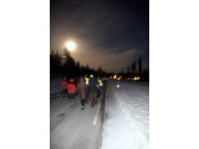 Av måneskinn gror det mye