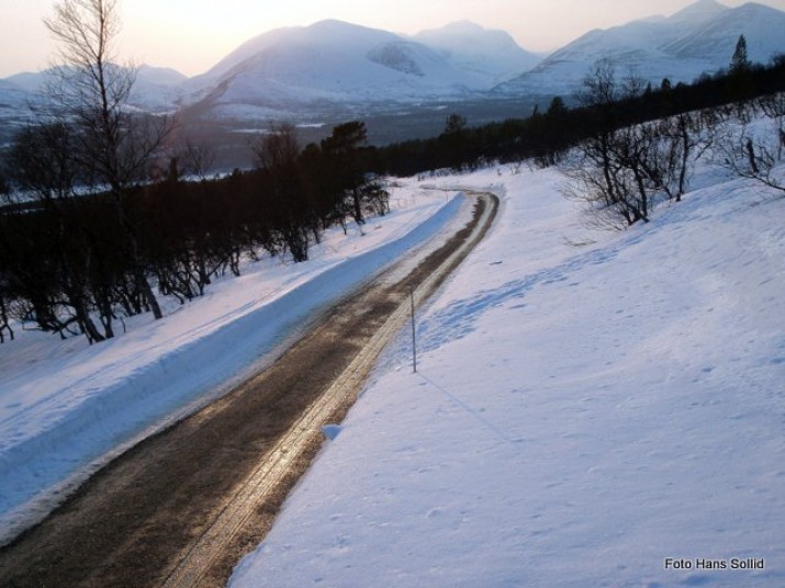 Bilde fra megrunnslia torsdag kveld. Foto Hans Sollid