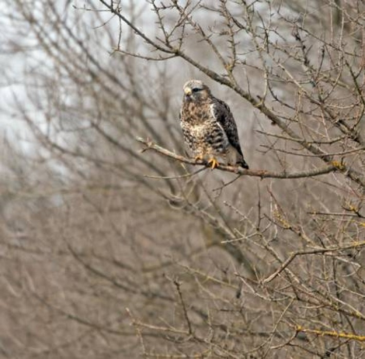 image0133