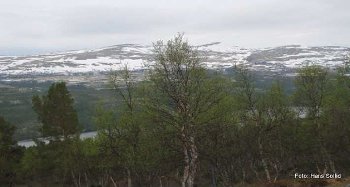 Mye snø igjen i Geitsida. Foto Hans Sollid