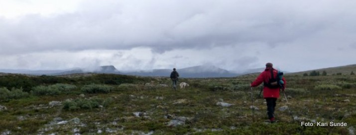 På veg hjem att. Foto Kari Sunde