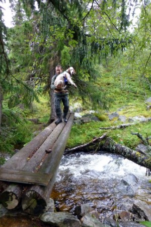 Øyvind på kloppa over Nørdrebekken. Foto Kari Sunde