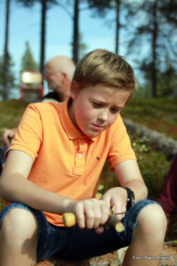 Vernebukse ikke nødvendig