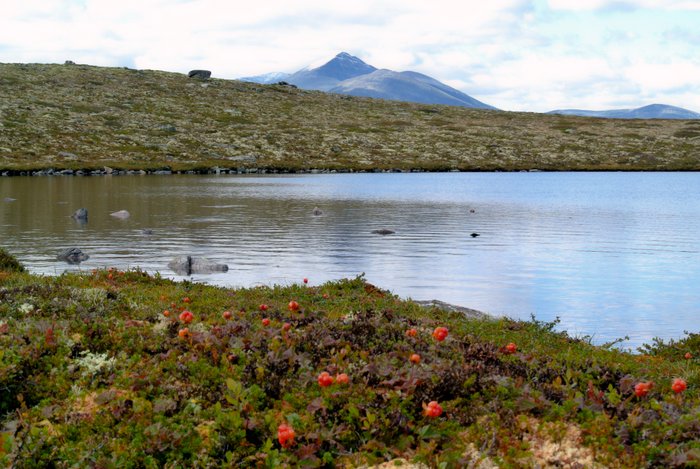 Neskamptjønnet 2