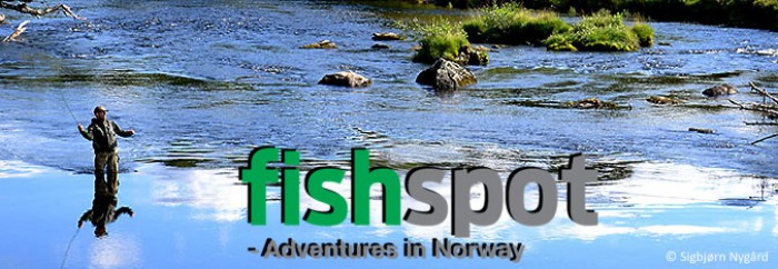 omFishspot1