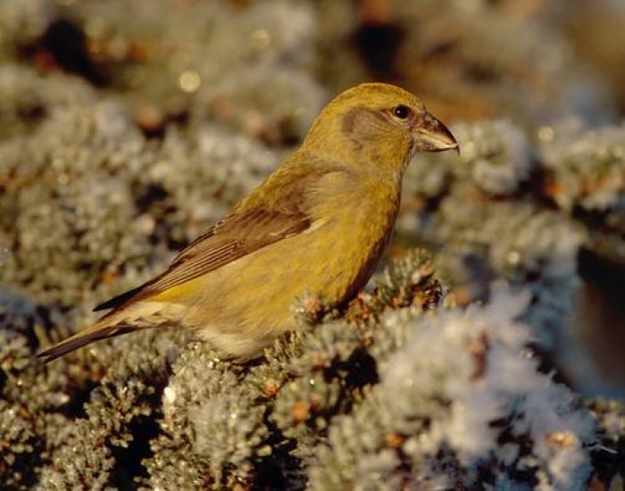 image0083