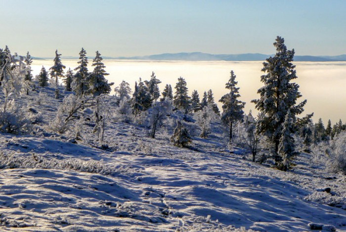 Skodde i dalen