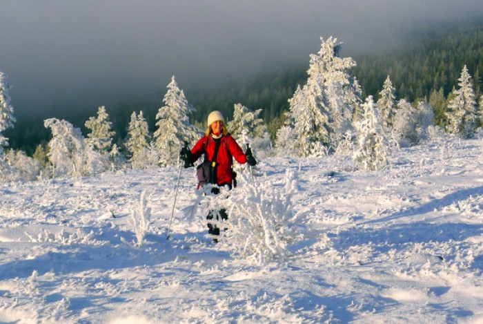 Gjertrud på fjellet