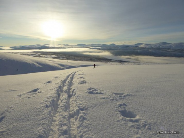 Fra turen oppover mot Gravskarhøgda. Foto Arne Lohn