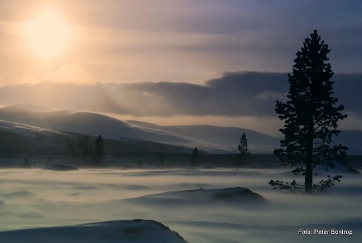 Vuludalen i begynnelsen av februar. Foto Peter Bontrop-1