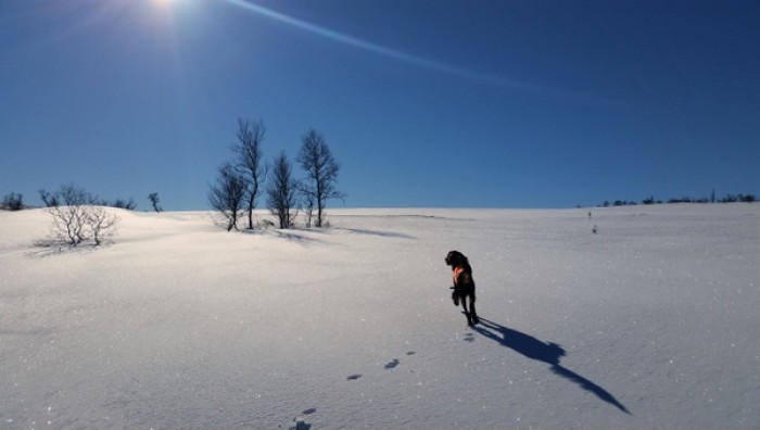 Foto Dag Lønhøiden