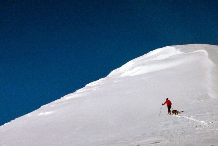 Gravskardhøgda foto Torstein Storaas