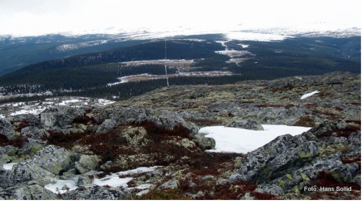 Rendalsgrensa er tydelgi merket