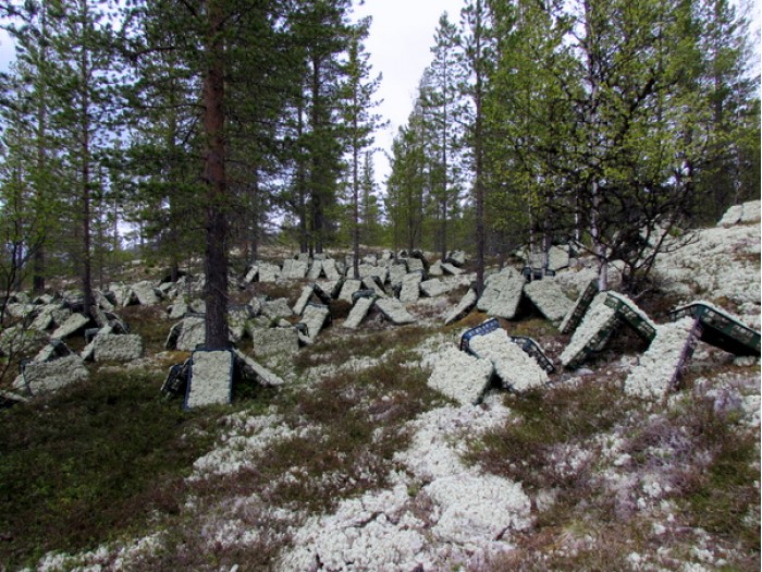 foto Berit Gomnæs
