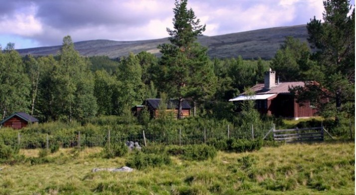 Setra til Rønningen. Foto Bjørn Brænd