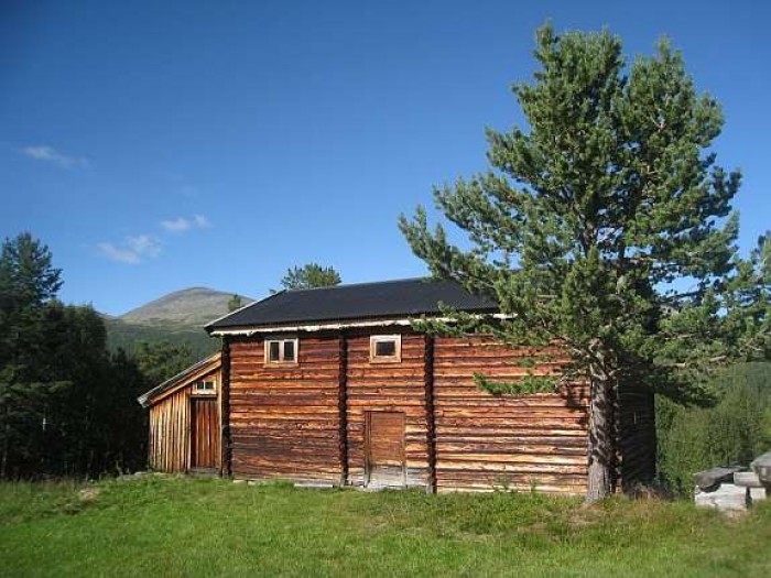 Holtet