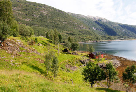 Bildet viser et gjenåpnet beiteområde i Engan/Ørnes i Sørfold kommune. Foto: Oskar Puschmann 