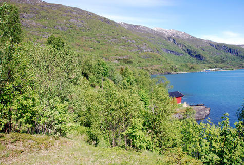 Landskap, Sørfold i Nordland. Foto: Oskar Puschmann