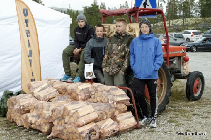 Vedgutta fra Folldal og Solllia