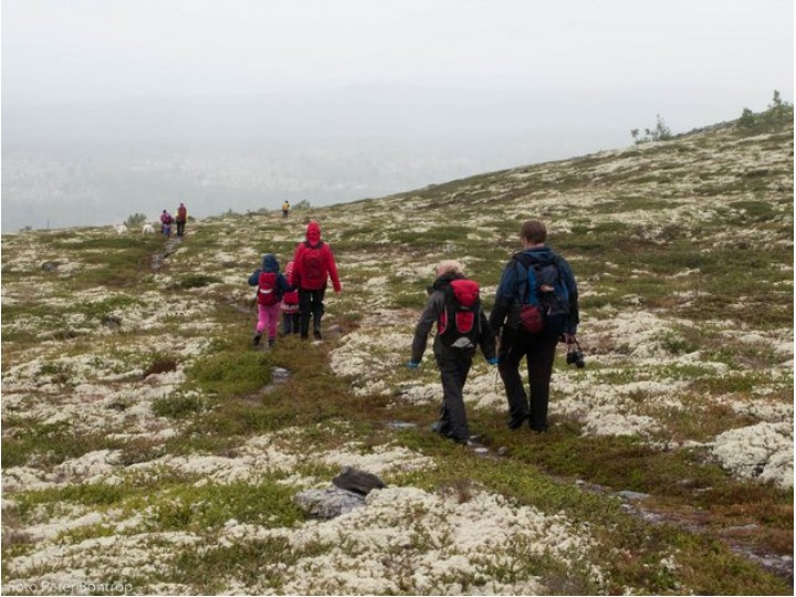Nedover att mot Rudshytta