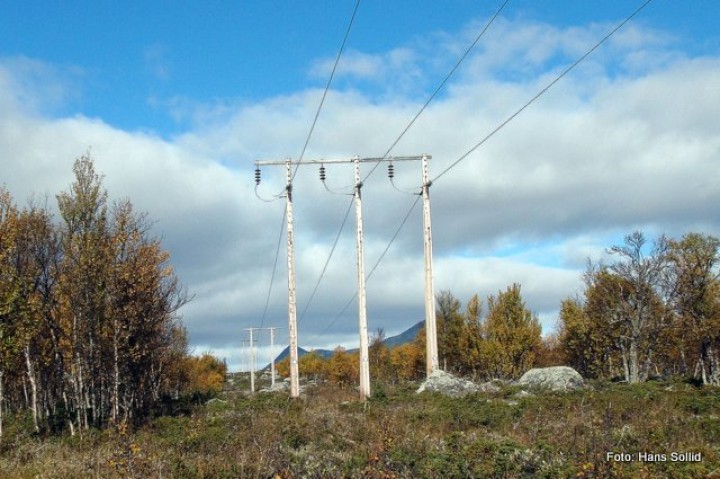 Tripplmasta i Veslegrytdalen