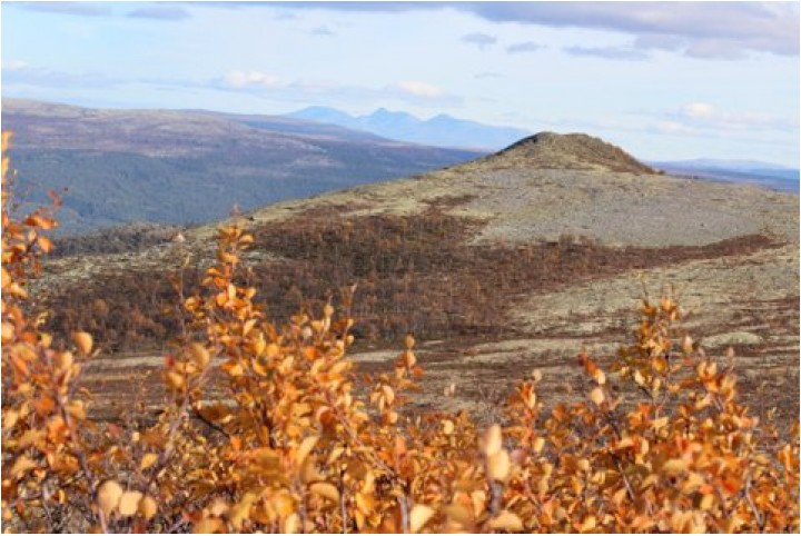 Finnsjøknappen med Rendalssølen i bakgrunnen