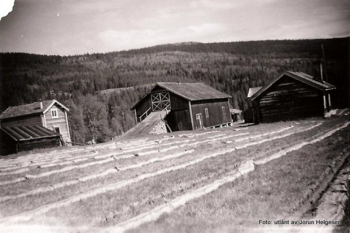 Grøtdalen men nypløyde jorder for skogplanting