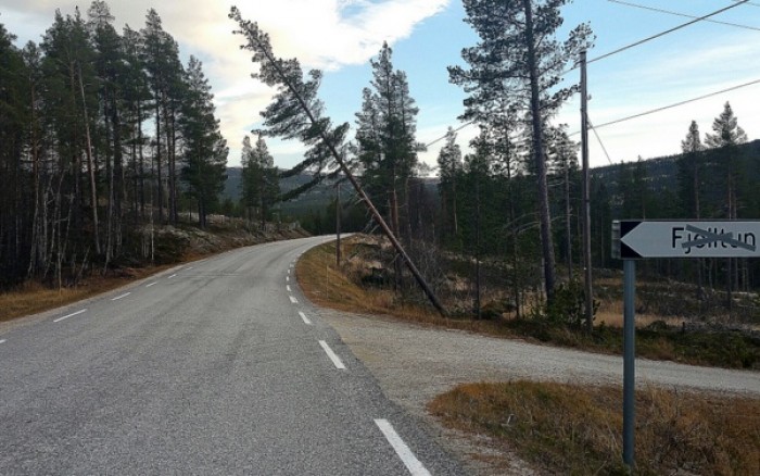 foto Jo Øvergaard