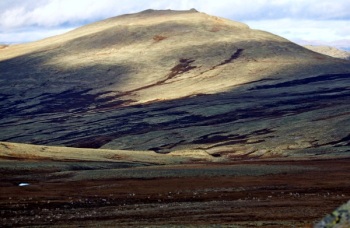 foto Chr. P. Mathiesen2