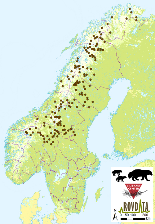 Image of Jervekull%20i%20Skandinavia%202015