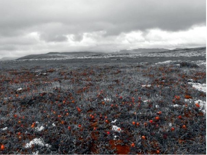 Foto Dag Lønhøiden