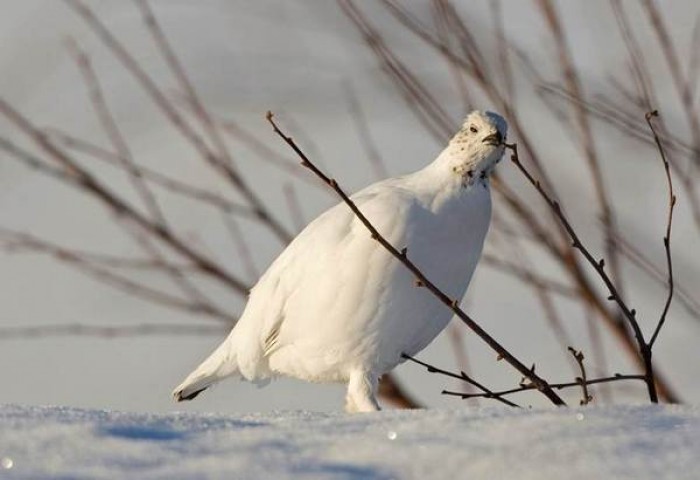 image005