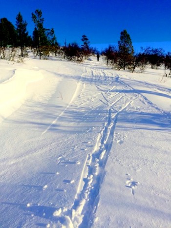 Like førGunder kjem med snøftrdrtn