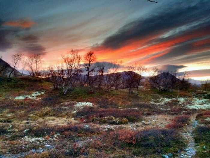 Foto Erling M. Moseng