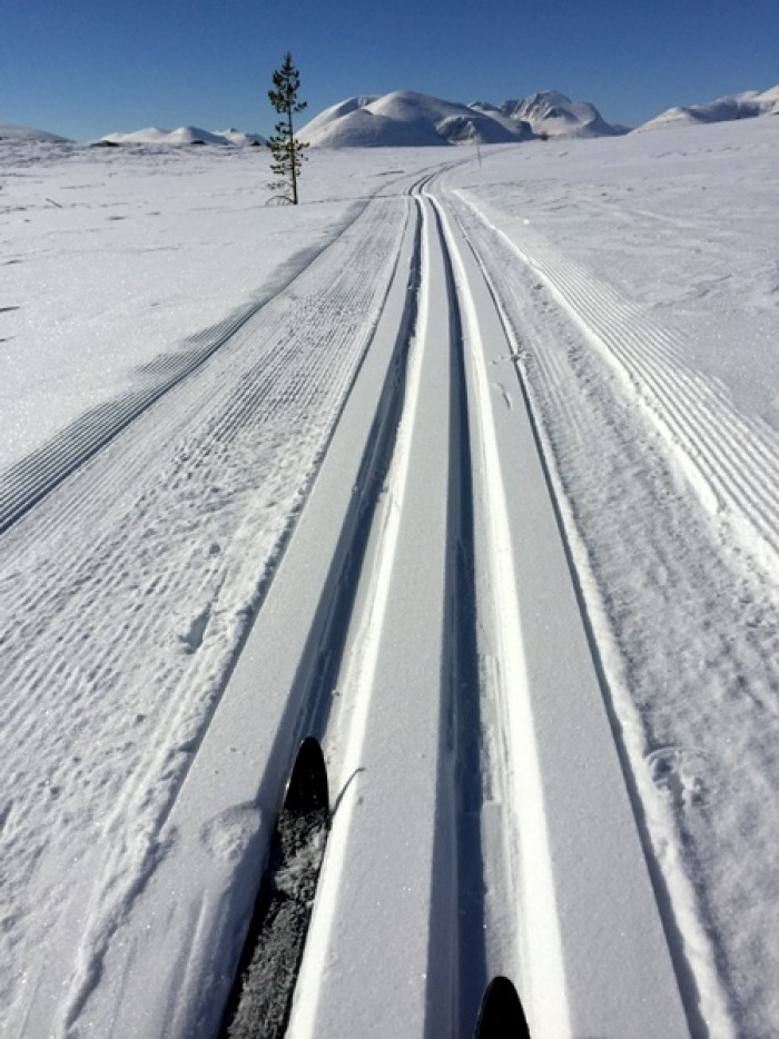foto Marianne Støvneng Olsen