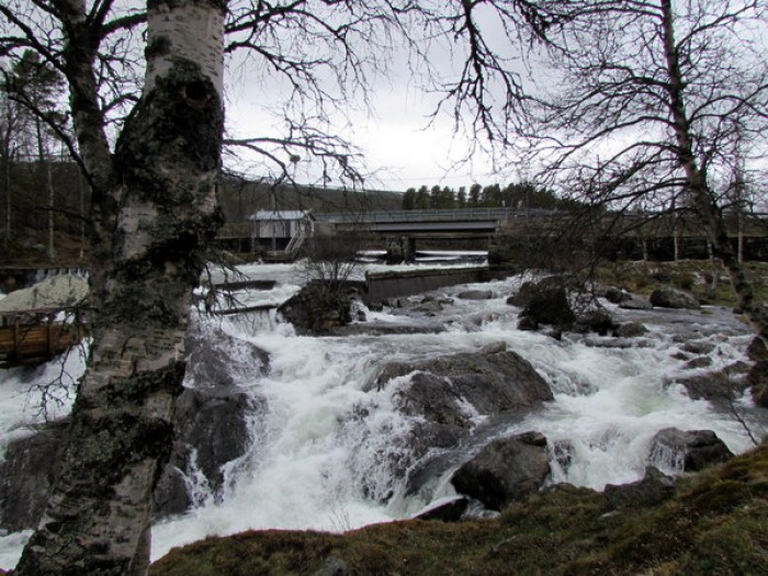 foto Berit Gomnæs
