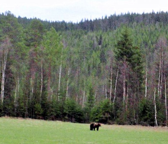 foto Eystein Fossum