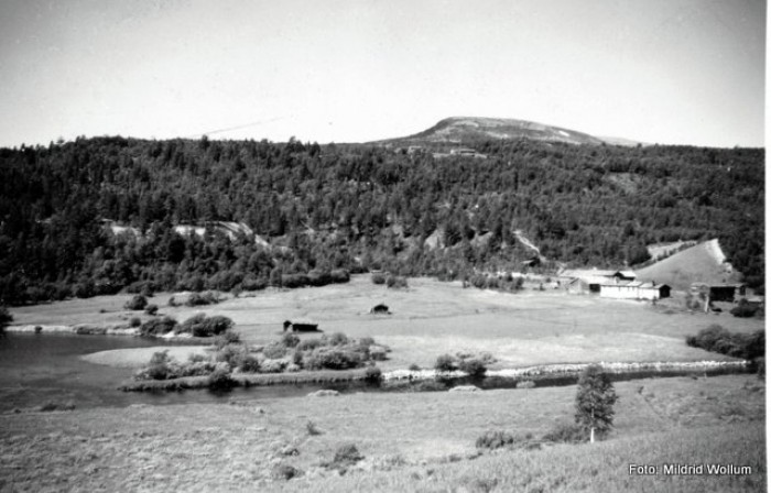 Snødølvolden sett fra Slåbumoen ca 1950 foto Mil