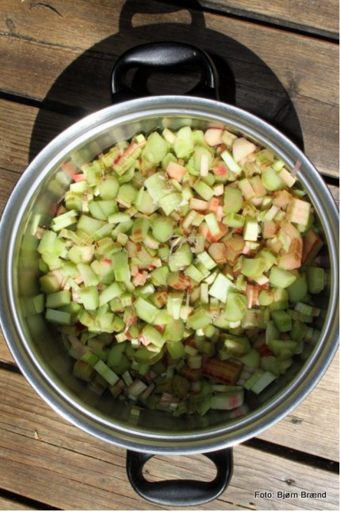 Finkuttet rabarbra klar for koking