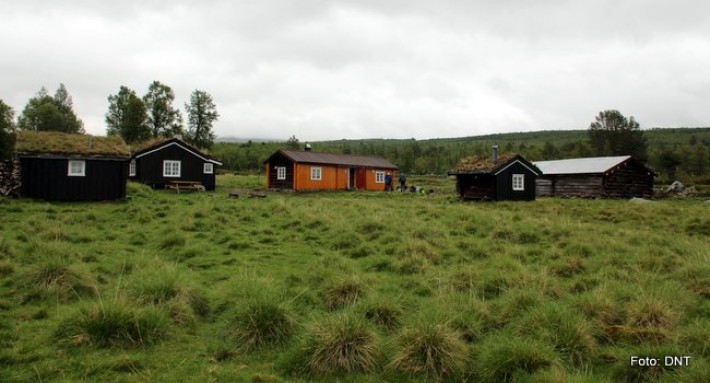 Setervollen på Nyeggsetra er idylliks