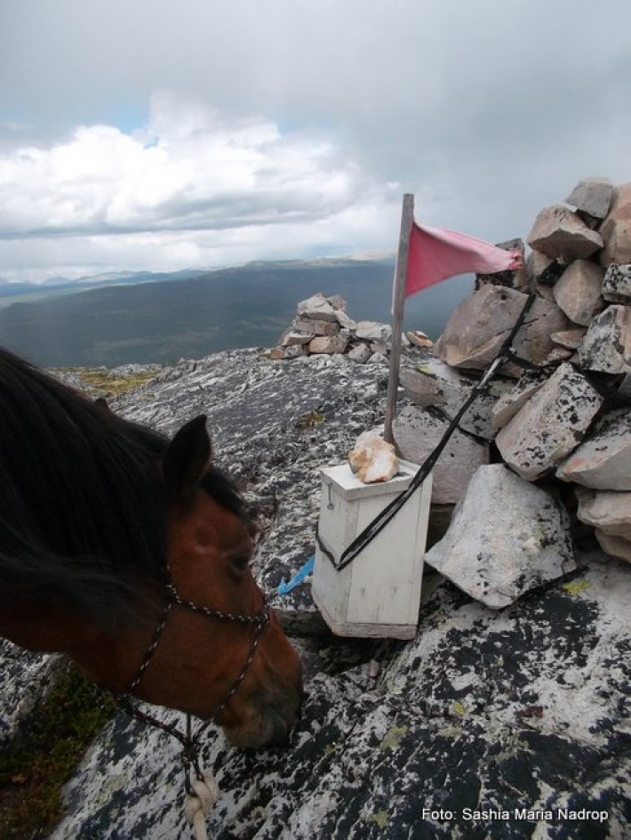 Schanteh snuser på trimkassa til Sollia Turlag