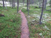 Den gode stien