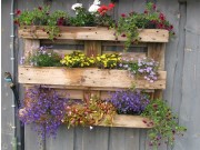 Si det med blomster
