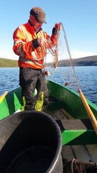  Dødsgarn Atnsjøen 2016 Foto BB