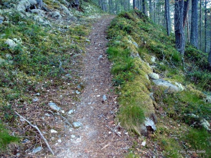 Setervegen opp fra sjøen ble gjort for hand. 