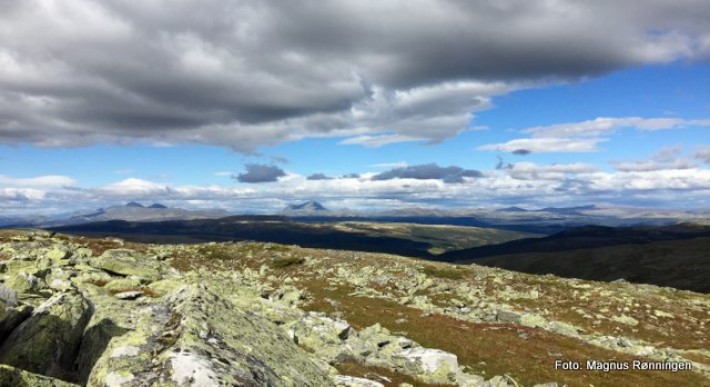 Fra rensjakta. Foto Magnus Rønningen