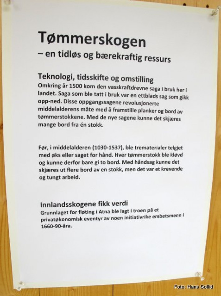 Tømmerskogen - en tidløs og bærekraftig ressurs