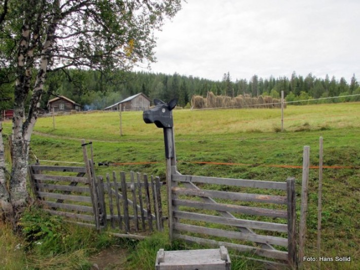 På veg mot Nordre Finstad
