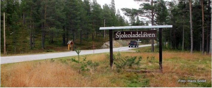 "Stoppskiltet" ved Nord-Nesset